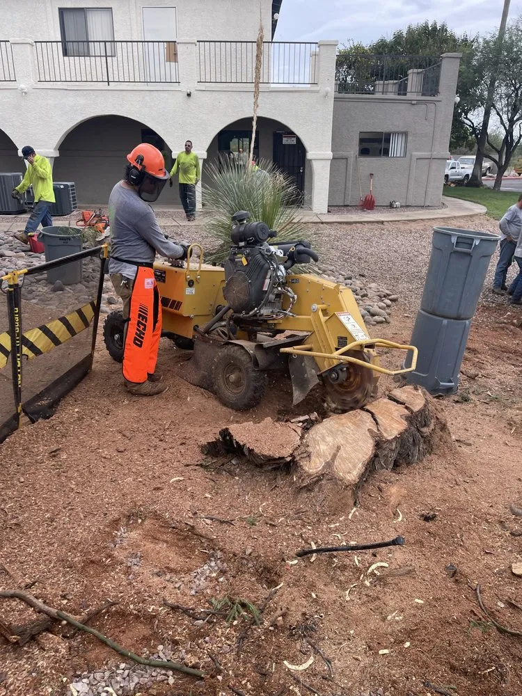 Local landscaping services in Tucson, AZ - Mesquite Valley Tree & Landscaping Service