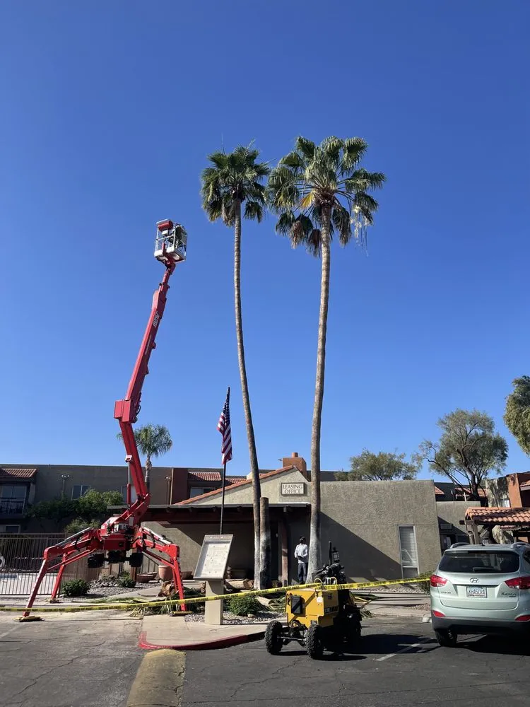 Custom lawn care service in Tucson, AZ - Mesquite Valley Tree & Landscaping Service