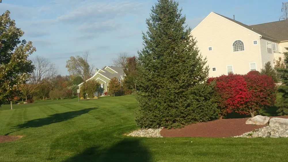Custom lawn care service near you across Easton, PA - Messa Lawn Care