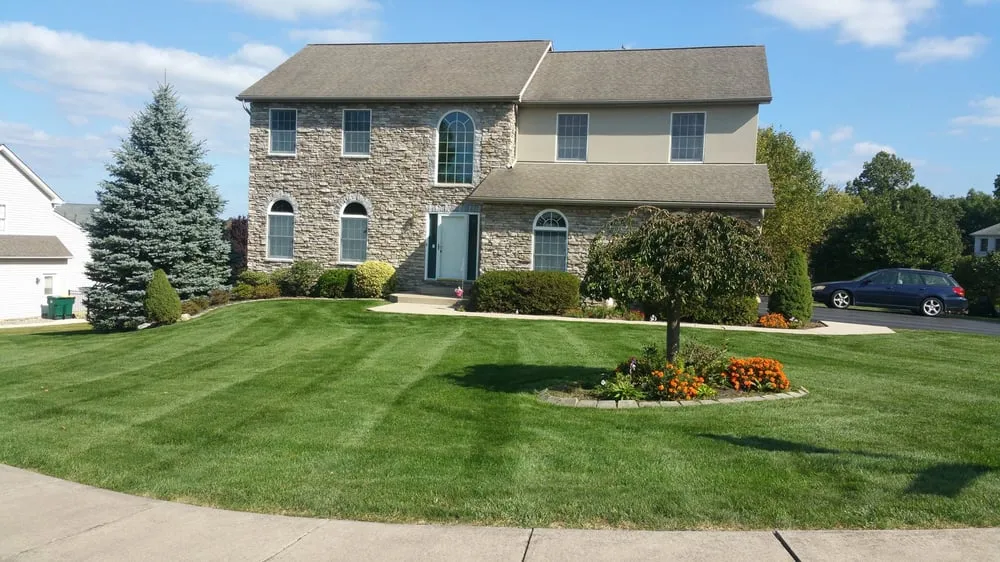 Top-rated landscaping services experts serving Easton, PA - Messa Lawn Care