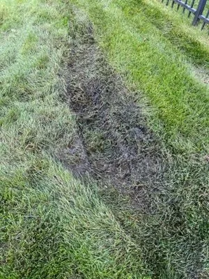 Messenger's Lawn & Landscaping Logo