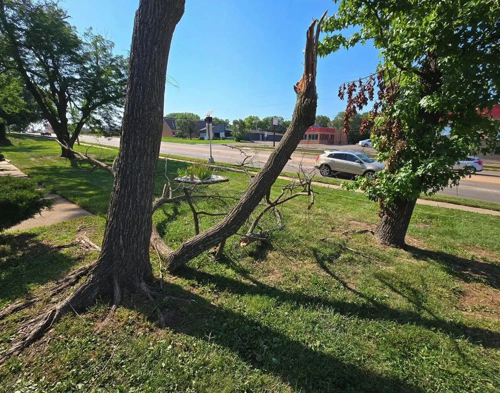 Expert yard maintenance experts serving Topeka, KS - Messi Mowers