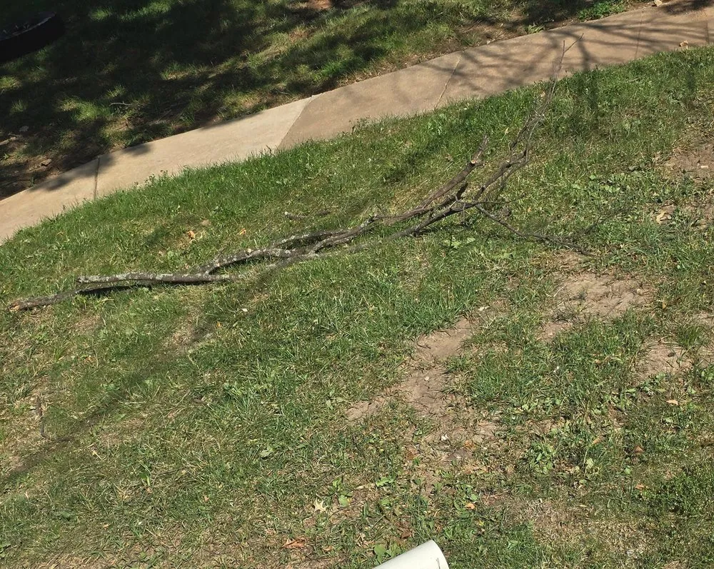 Local landscaping services in Topeka, KS by Messi Mowers