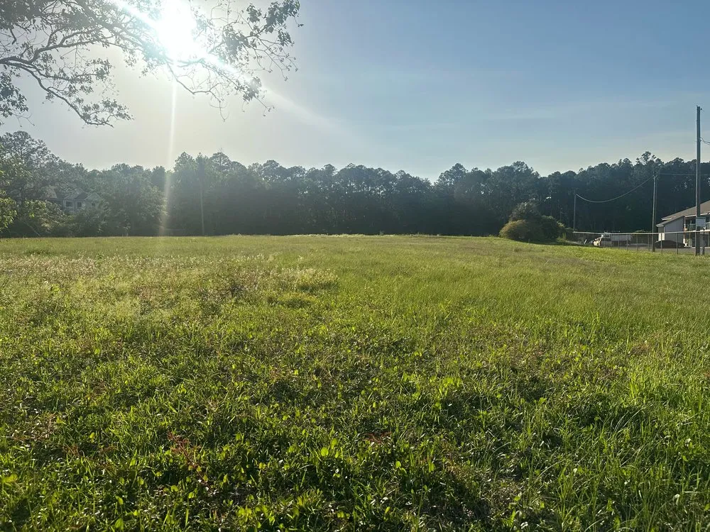 Local landscape design in Theodore, AL - Messiah land care service