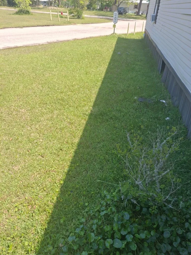 Trusted residential landscaping in Theodore, AL - Messiah land care service