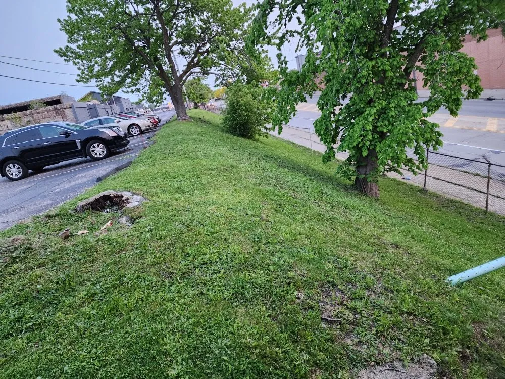 Expert lawn care service near you in Parma, OH by Messiah Services