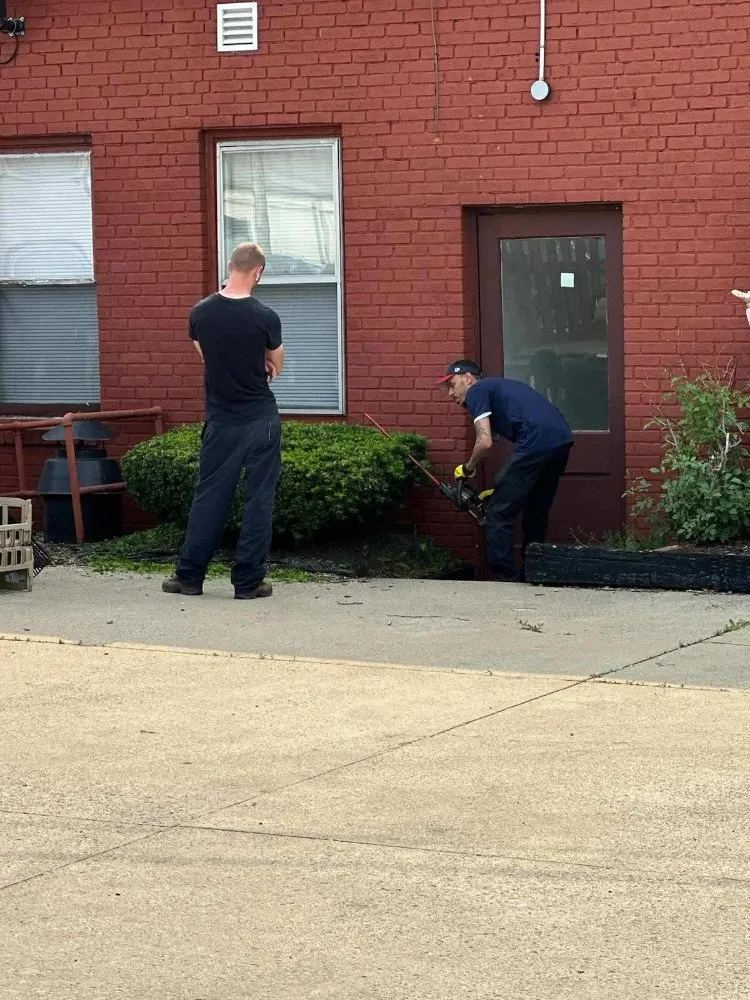 Professional landscape installation in Parma, OH by Messiah Services