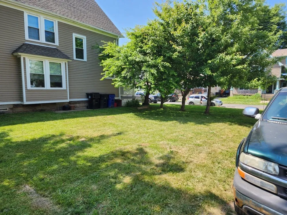 Trusted yard cleanup service for year-round maintenance in Parma, OH by Messiah Services