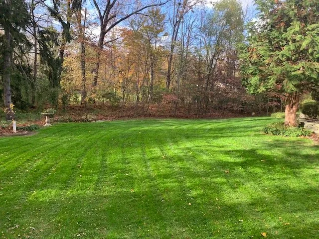 Affordable landscaping services for outdoor upgrades in Ambler, PA by Messina Lawn Care