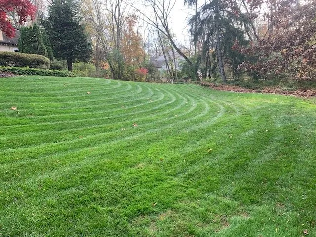 Expert landscaping services near you in Ambler, PA by Messina Lawn Care
