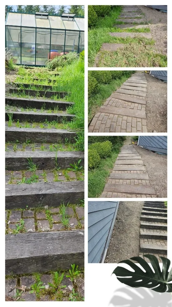 Top-rated lawn mowing service experts serving Port Angeles, WA - Messinger Maintenance