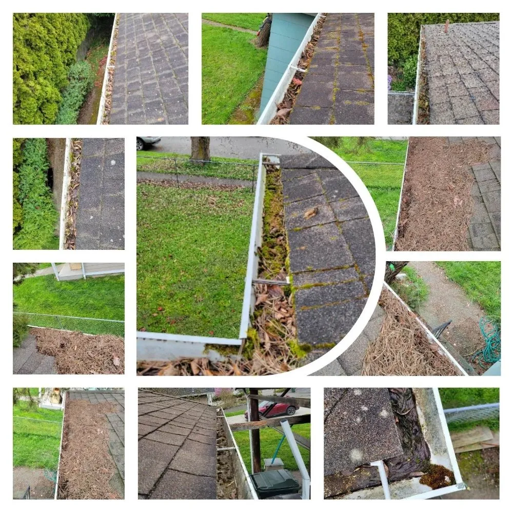 Trusted landscaping services experts serving Port Angeles, WA - Messinger Maintenance