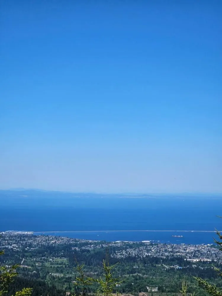 Local landscape installation for year-round maintenance in Port Angeles, WA by Messinger Maintenance