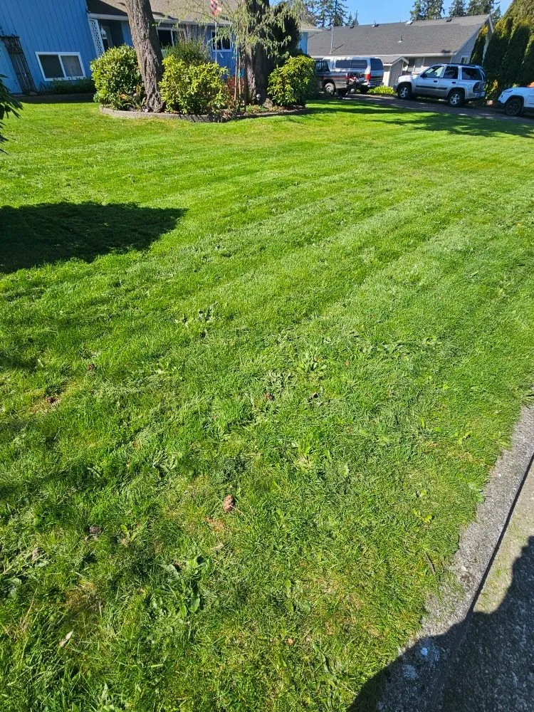 Reliable landscape installation with custom design in Port Angeles, WA by Messinger Maintenance