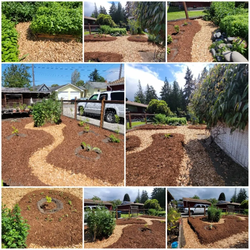 Reliable lawn care service near you across Port Angeles, WA - Messinger Maintenance