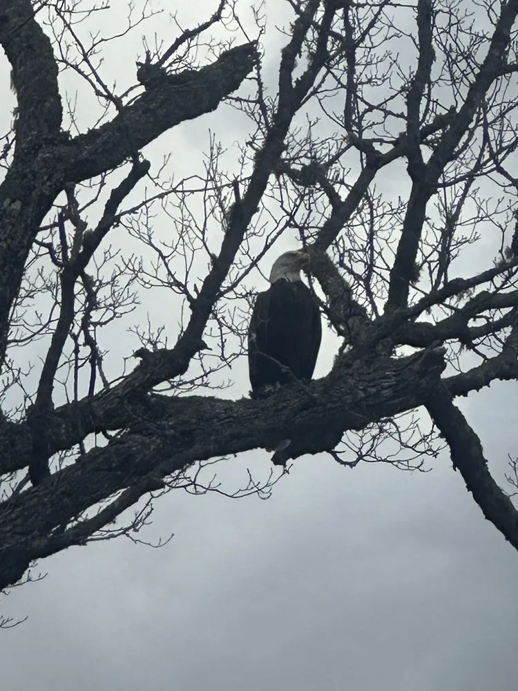 Trusted landscaping services experts serving Bucksport, ME - Messinger’s Hardscape Landscaping and Design