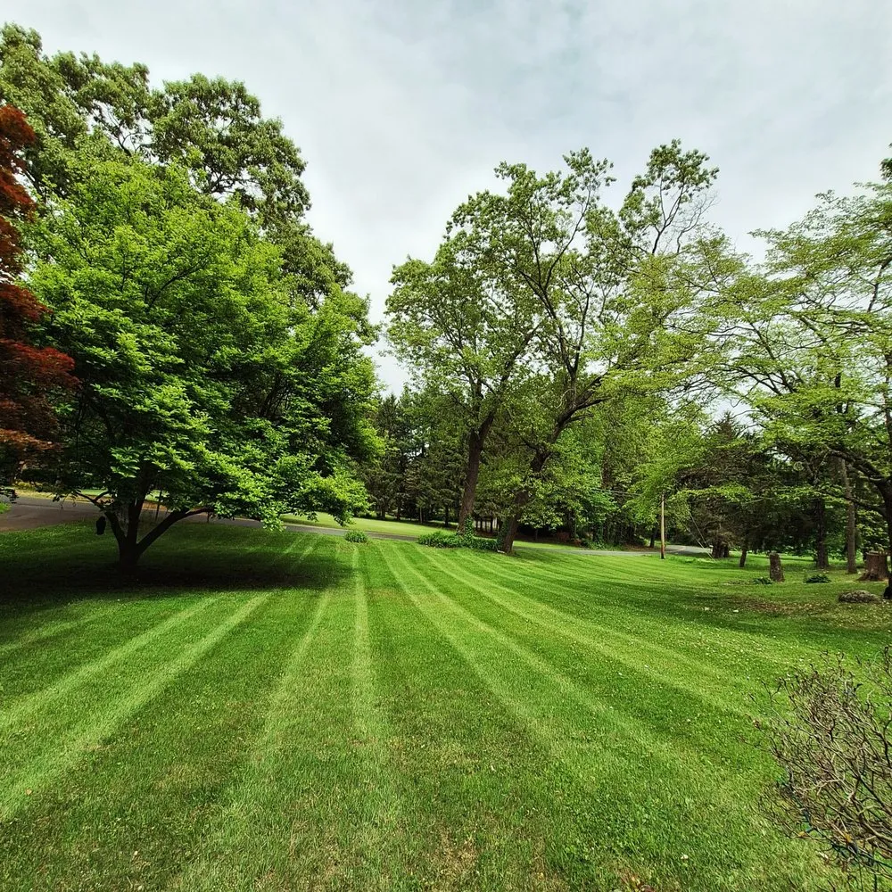 Top-rated landscaping services near you across Columbia, NJ - Messmer Property Maintenance