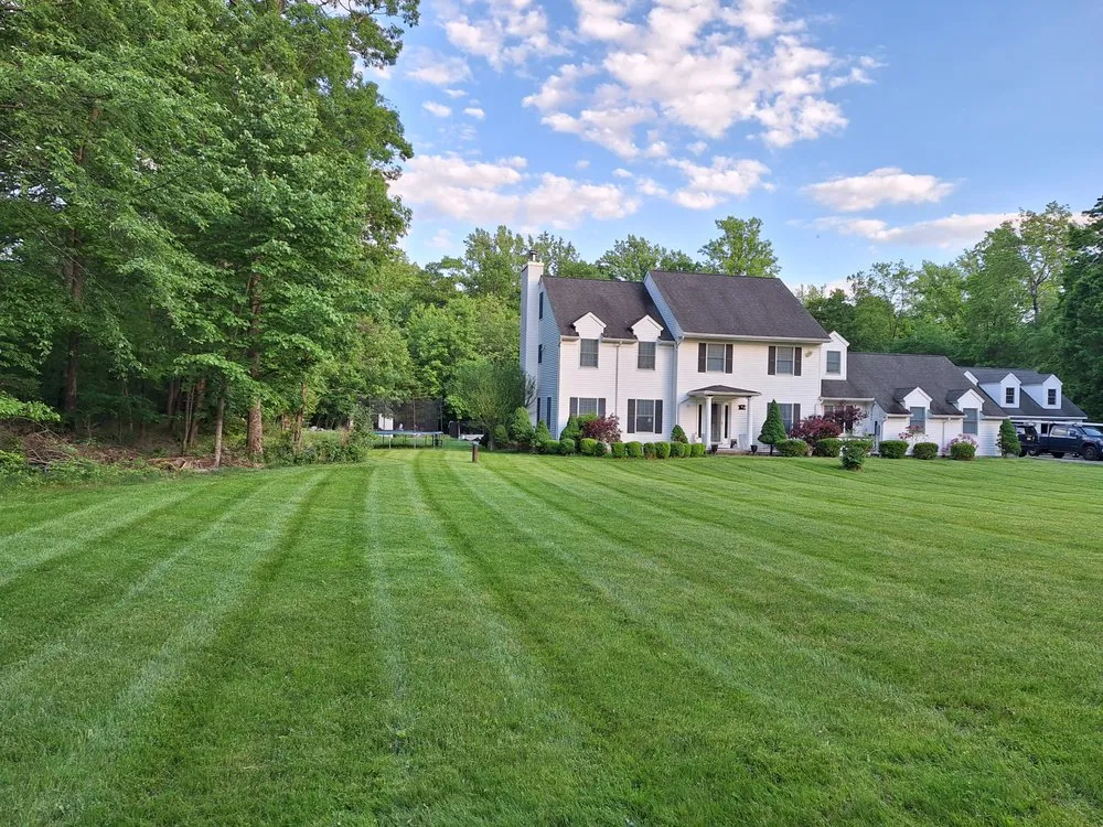 Local yard cleanup service in Columbia, NJ by Messmer Property Maintenance