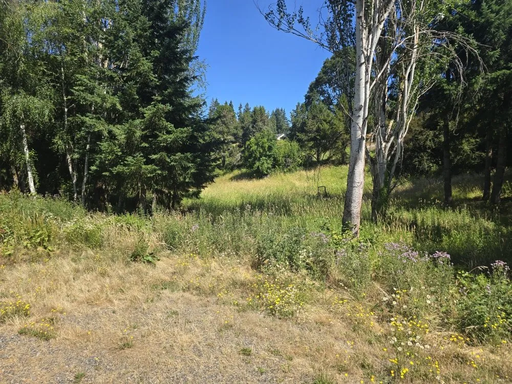 Custom yard cleanup service for residential properties across La Center, WA - Messner Field Solutions