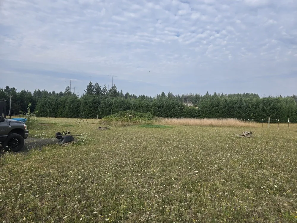 Expert outdoor landscaping with custom design across La Center, WA - Messner Field Solutions