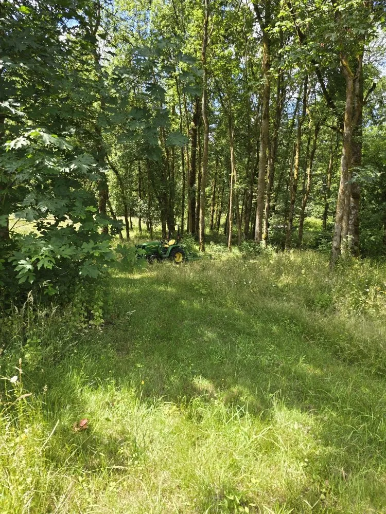 Custom lawn mowing service for residential properties in La Center, WA by Messner Field Solutions