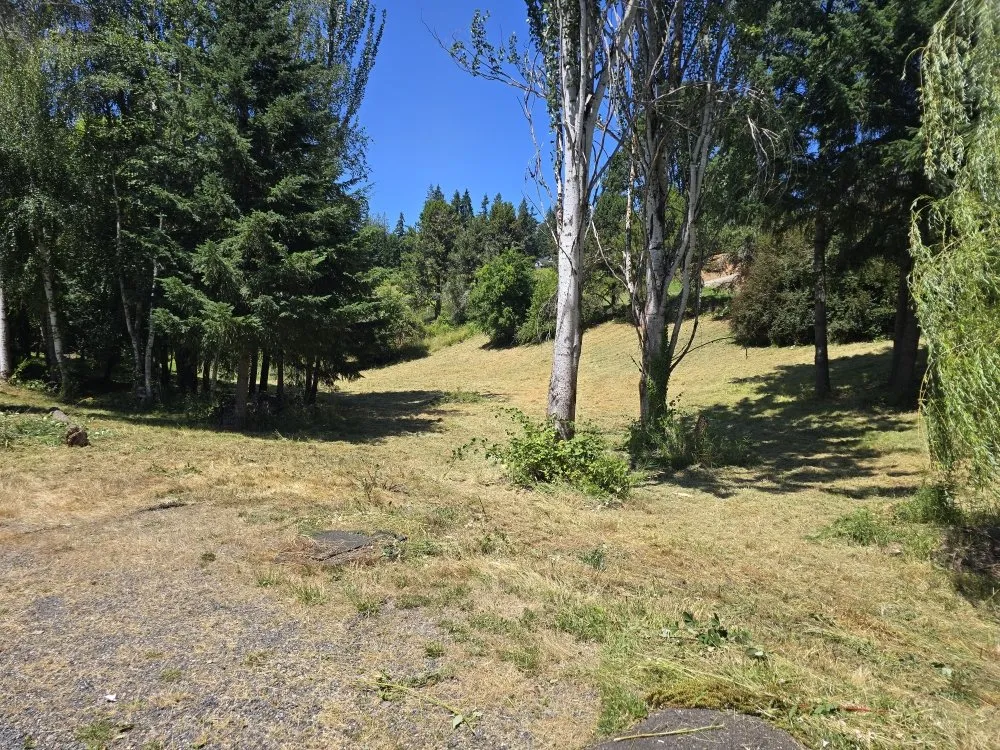 Professional landscaping services for outdoor upgrades in La Center, WA by Messner Field Solutions