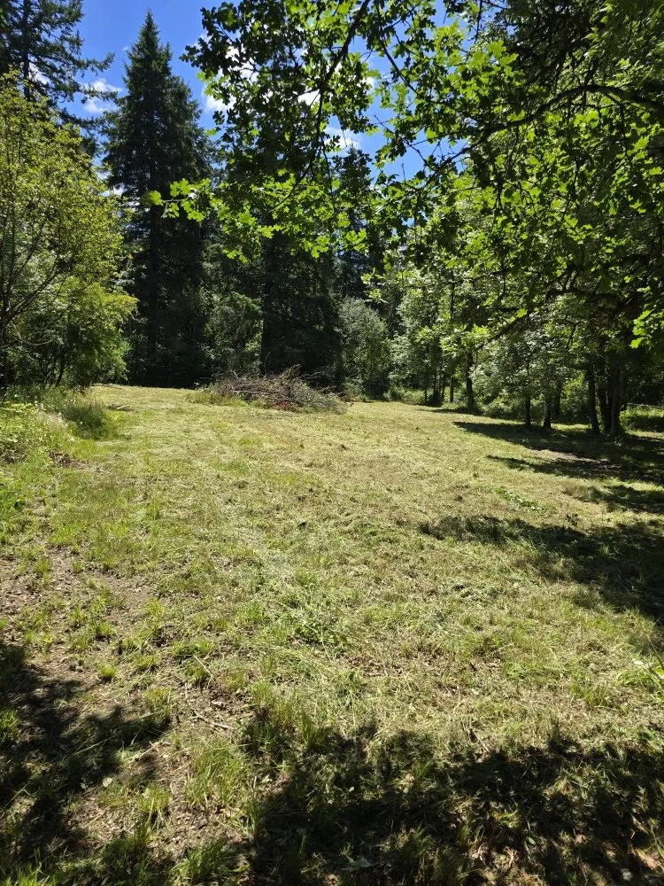 Expert landscape installation in La Center, WA by Messner Field Solutions