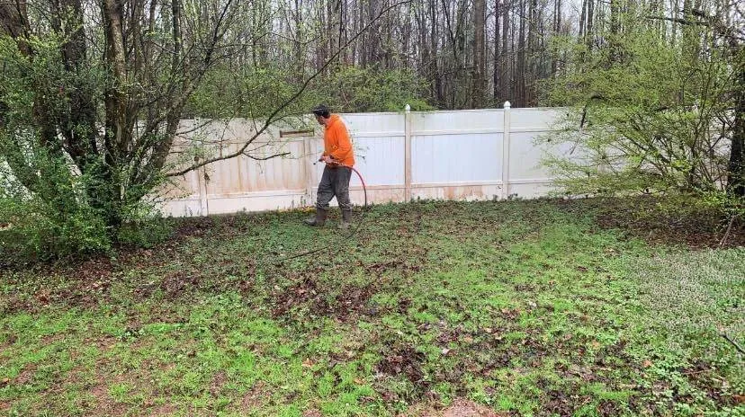 Top-rated residential landscaping for year-round maintenance across Villa Rica, GA - Messy Call Jesse