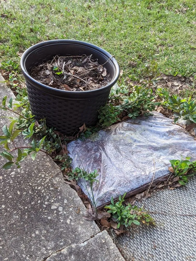 Custom yard maintenance in Villa Rica, GA - Messy Call Jesse