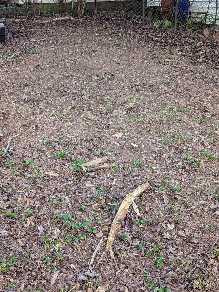 Professional landscaping services experts serving Villa Rica, GA - Messy Call Jesse