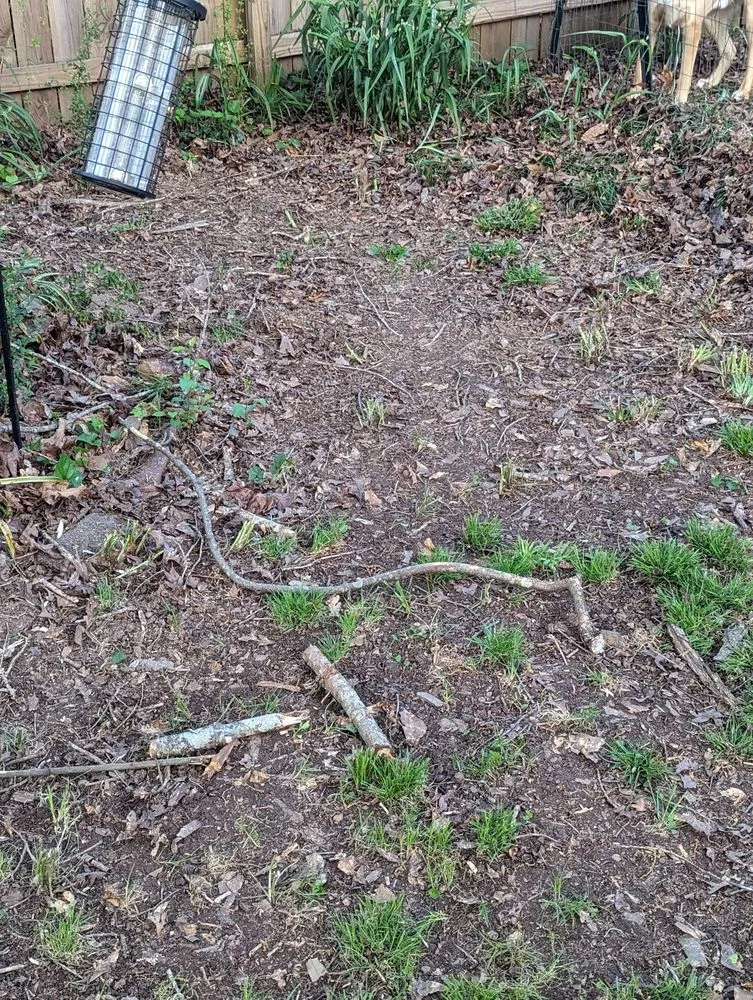 Expert landscaping services experts serving Villa Rica, GA - Messy Call Jesse