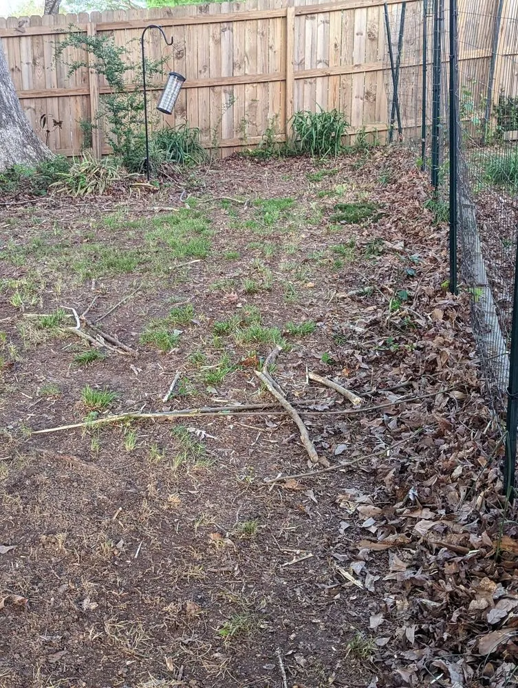 Custom lawn mowing service in Villa Rica, GA - Messy Call Jesse