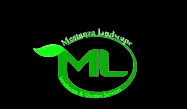 Affordable yard cleanup service in Mills River, NC - Mestanza Landscape