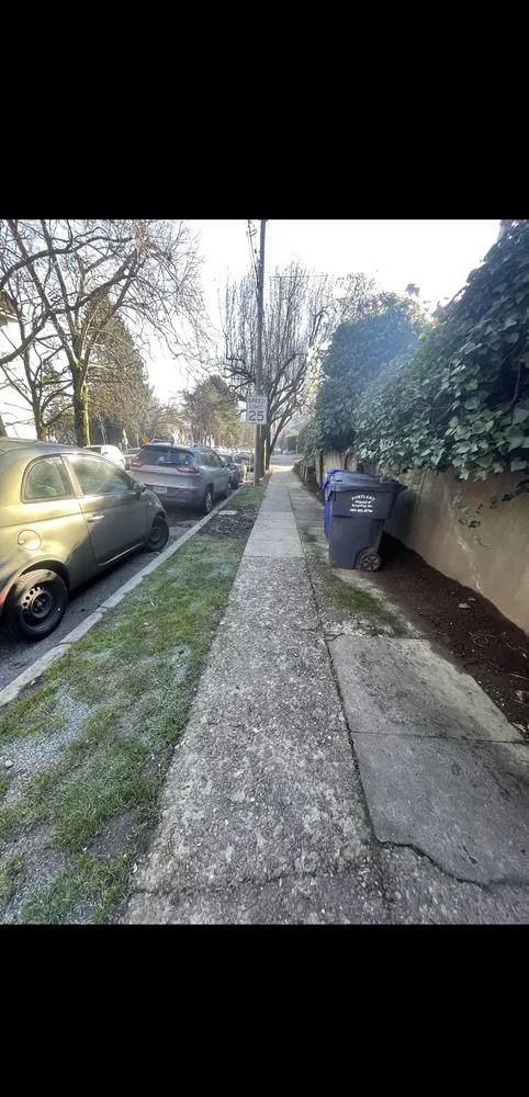 Professional yard cleanup service experts serving Beaverton, OR - Mestres Landscaping