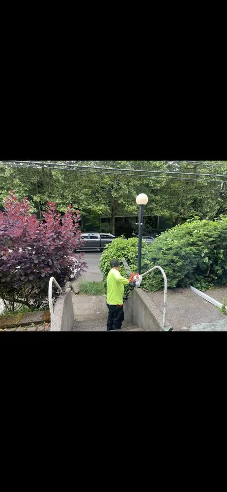 Expert landscape installation in Beaverton, OR by Mestres Landscaping