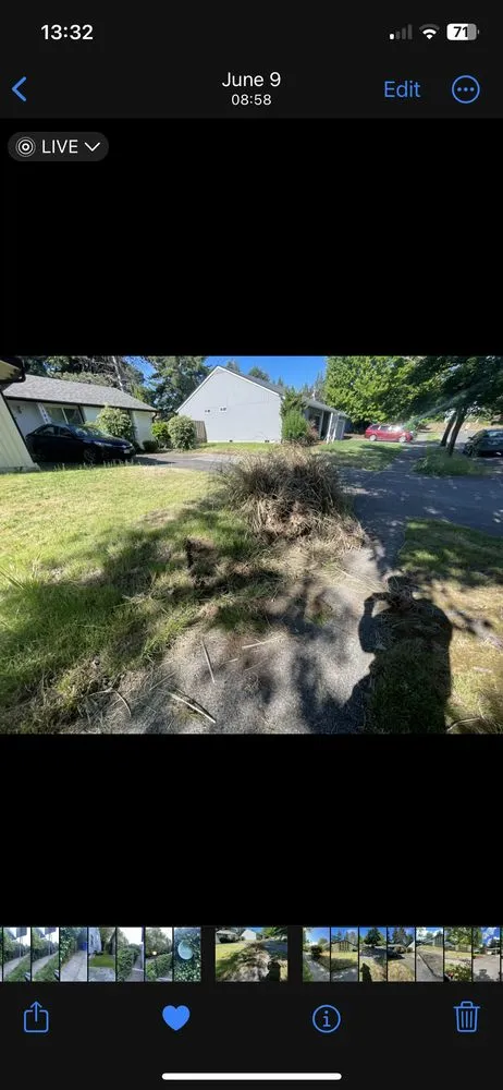 Professional garden landscaping experts serving Beaverton, OR - Mestres Landscaping