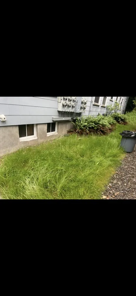 Affordable lawn care service for residential properties in Beaverton, OR by Mestres Landscaping