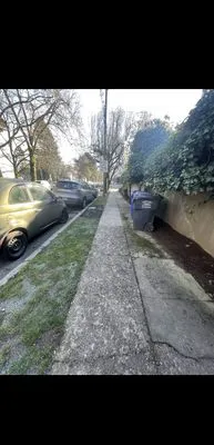 Mestres Landscaping Logo