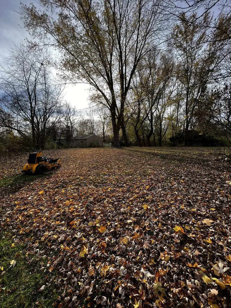 Local landscaping services for outdoor upgrades in Grandville, MI by Metal Blade Lawn Care