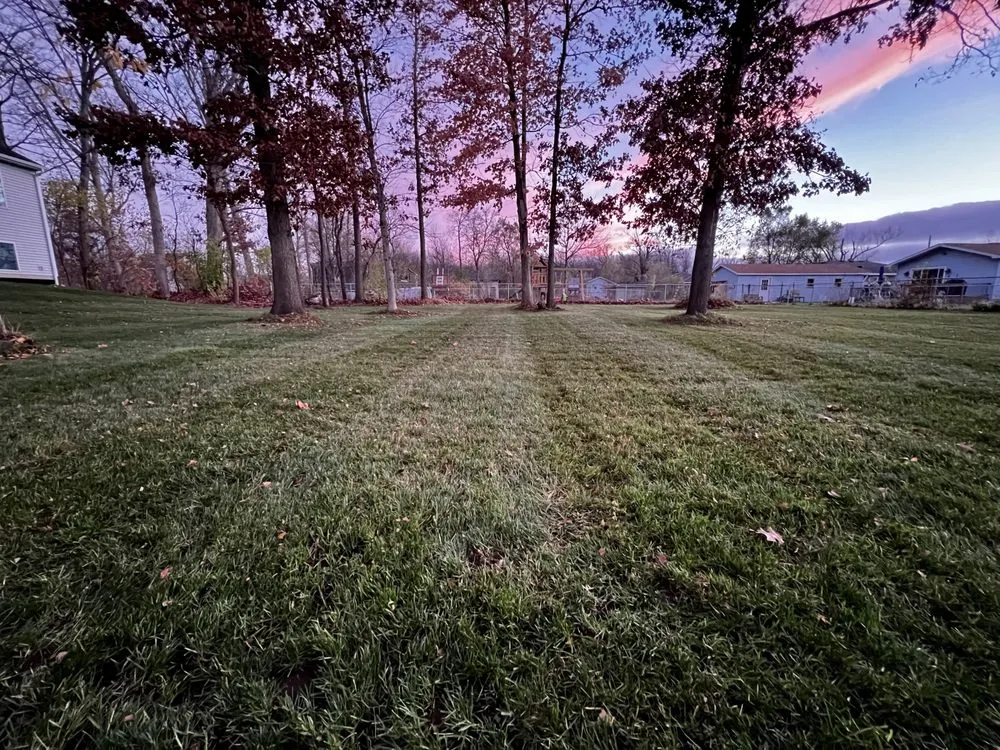 Trusted yard cleanup service in Grandville, MI - Metal Blade Lawn Care