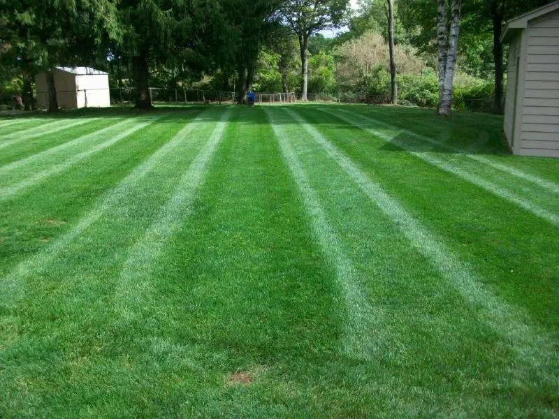 Professional outdoor landscaping in Grandville, MI by Metal Blade Lawn Care