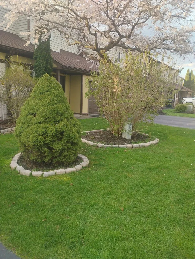 Affordable lawn care service for beautiful yards in Rochester, NY by Metal Edge Services