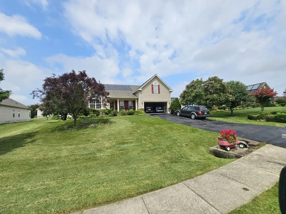 Professional yard cleanup service in Silver Spring, MD - Metallurgy Company Landscaping