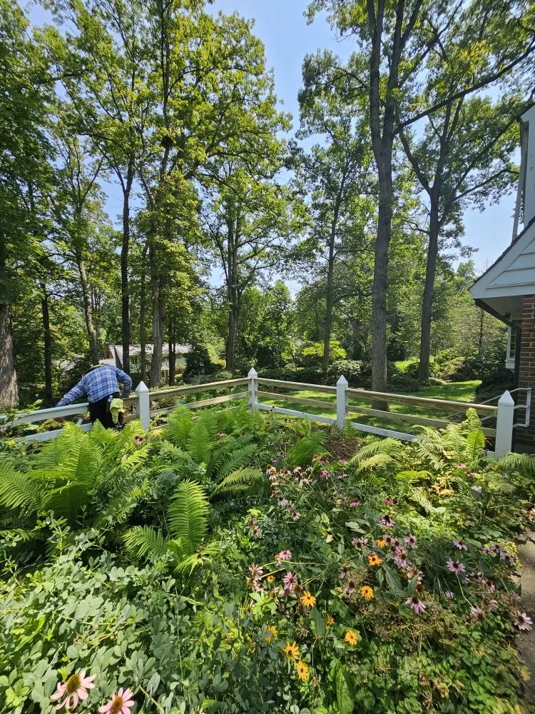 Top-rated residential landscaping experts serving Silver Spring, MD - Metallurgy Company Landscaping