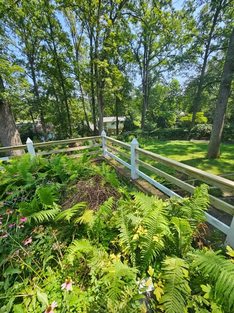 Trusted garden landscaping with custom design across Silver Spring, MD - Metallurgy Company Landscaping