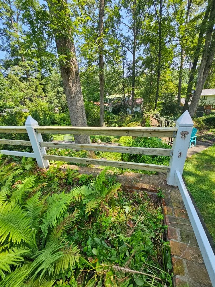 Affordable landscaping services in Silver Spring, MD - Metallurgy Company Landscaping