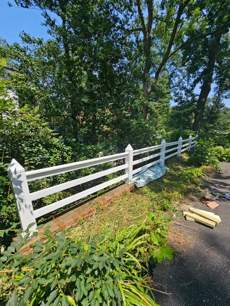 Reliable yard cleanup service for residential properties in Silver Spring, MD by Metallurgy Company Landscaping