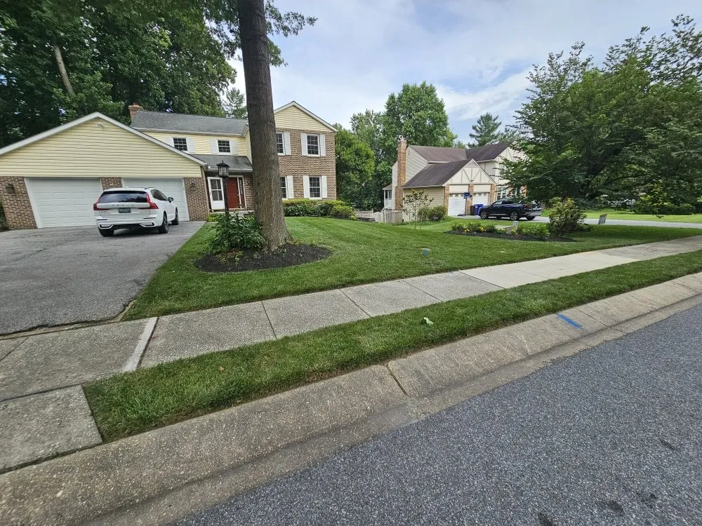 Affordable lawn mowing service in Silver Spring, MD by Metallurgy Company Landscaping