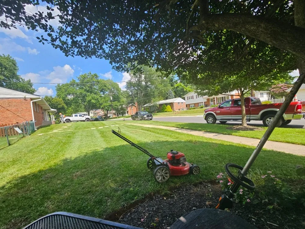 Reliable lawn care service experts serving Silver Spring, MD - Metallurgy Company Landscaping