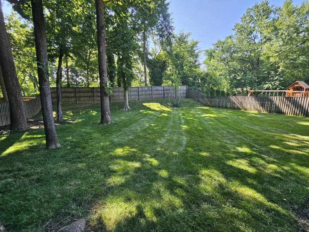 Reliable lawn care service with custom design across Silver Spring, MD - Metallurgy Company Landscaping